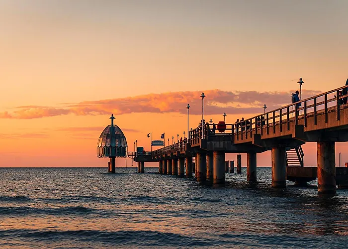 - Cozy Nest * 치노비츠