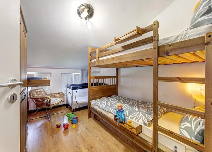 - Cozy Nest 치노비츠